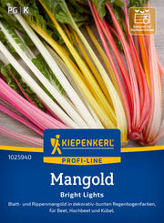 Mangold Bright Lights