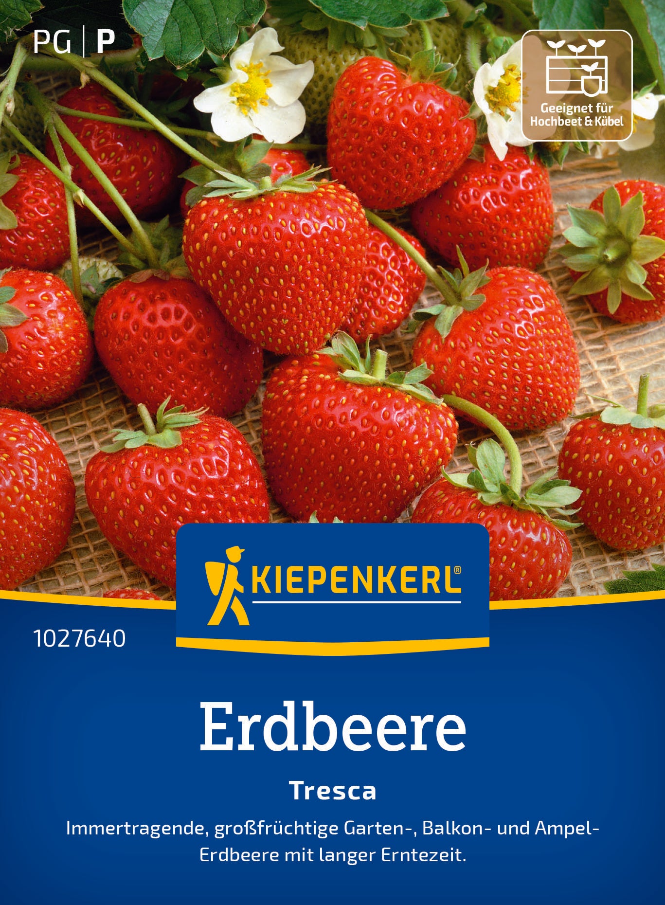 Erdbeere Tresca