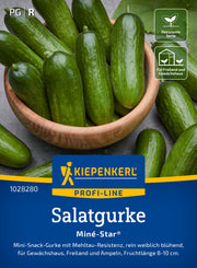 Salatgurke Miné-Star®, F1