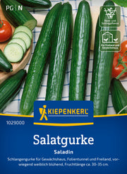 Salatgurke Saladin, F1