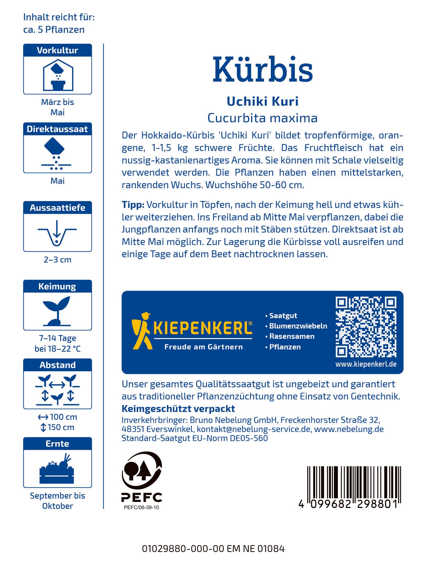 Kürbis Uchiki Kuri