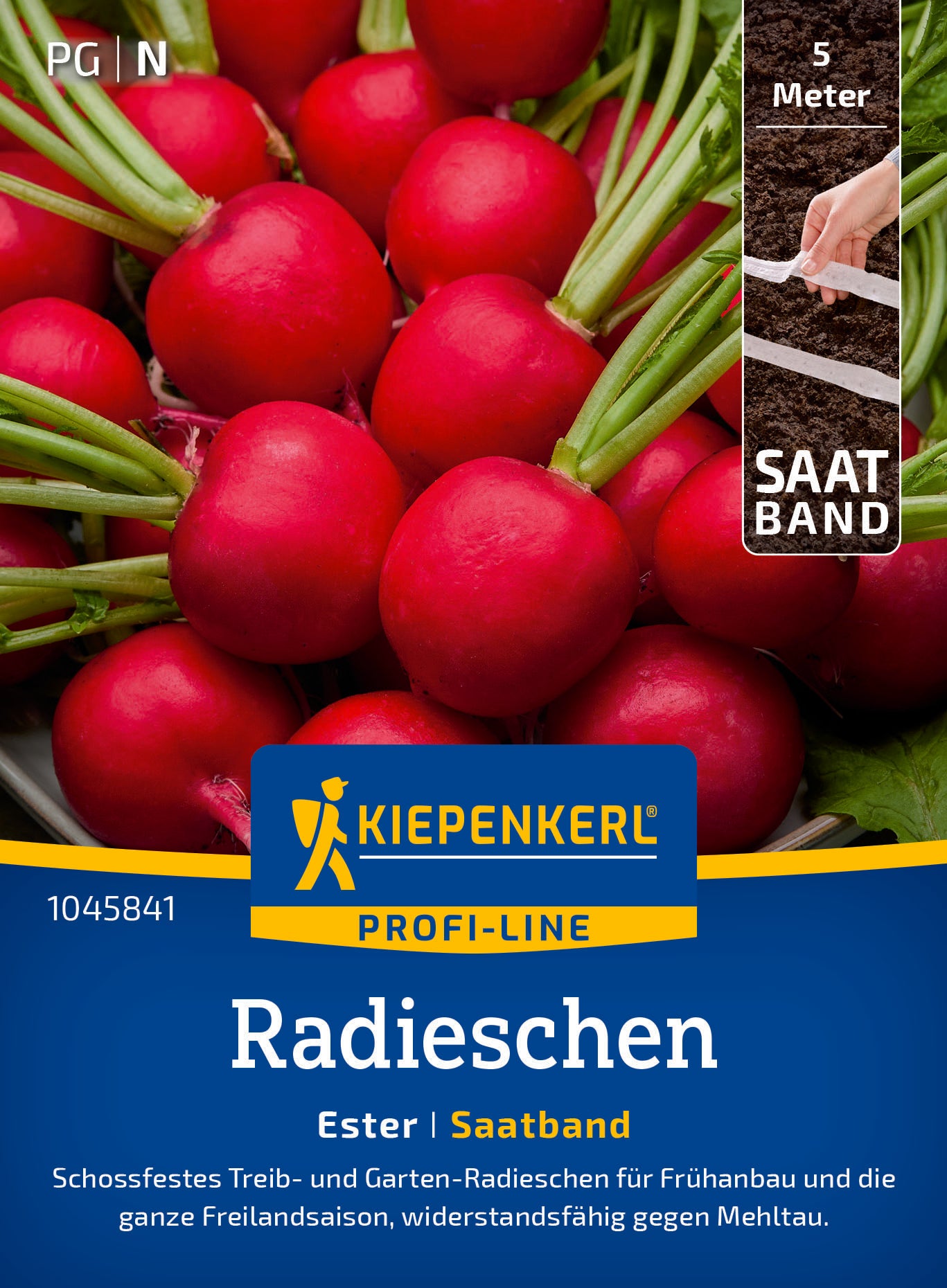 Radieschen Ester, Saatband