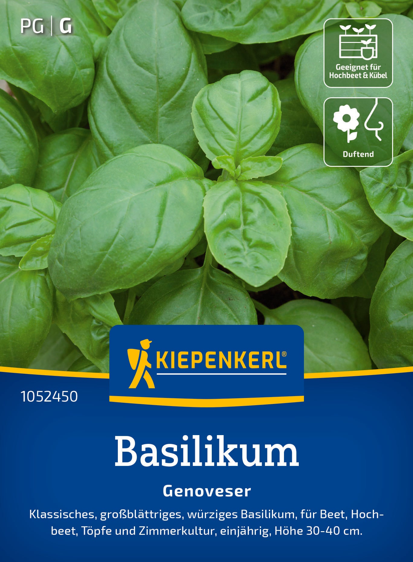 Basilikum Genoveser