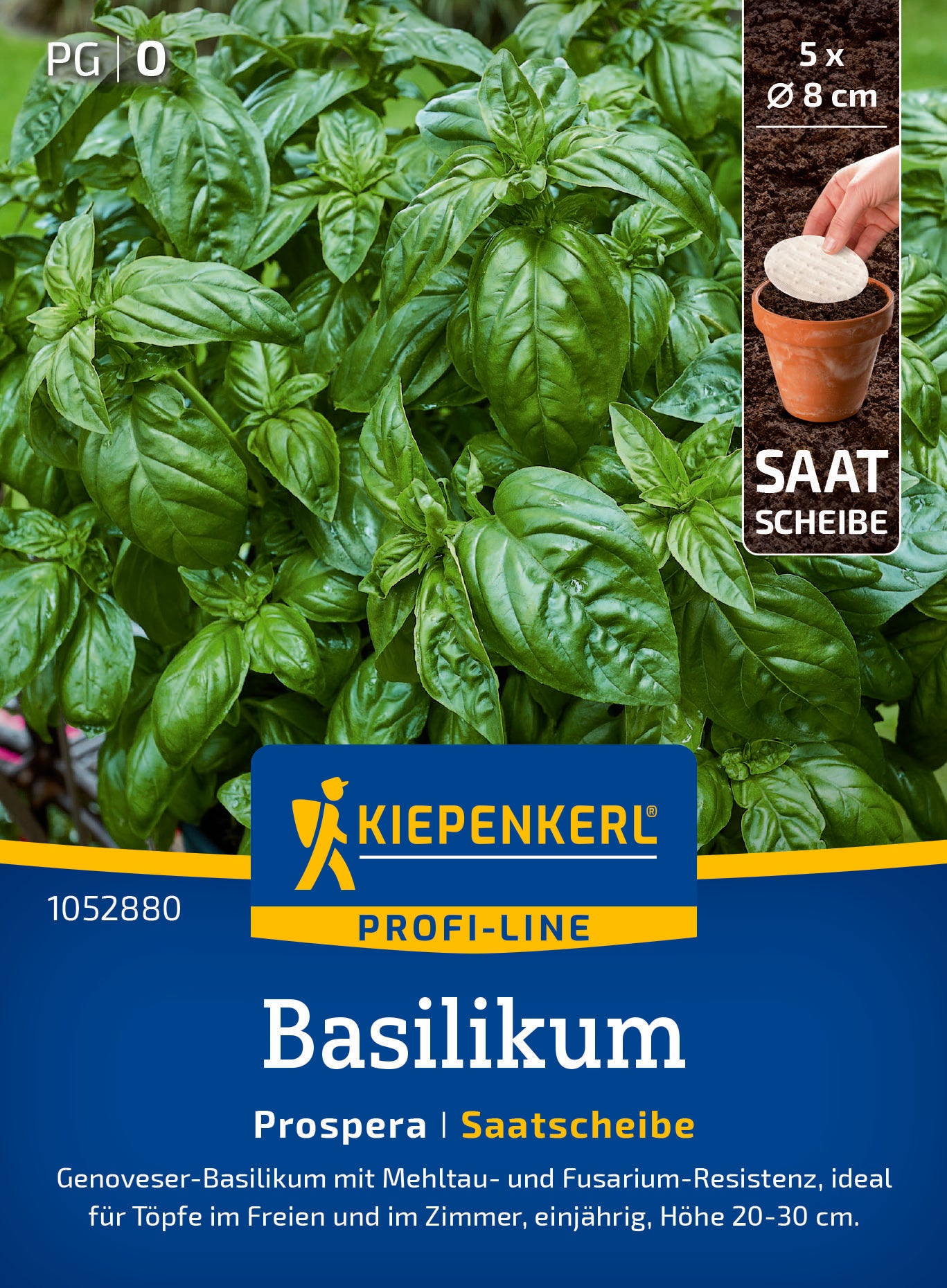 Basilikum Prospera, F1, Saatscheibe