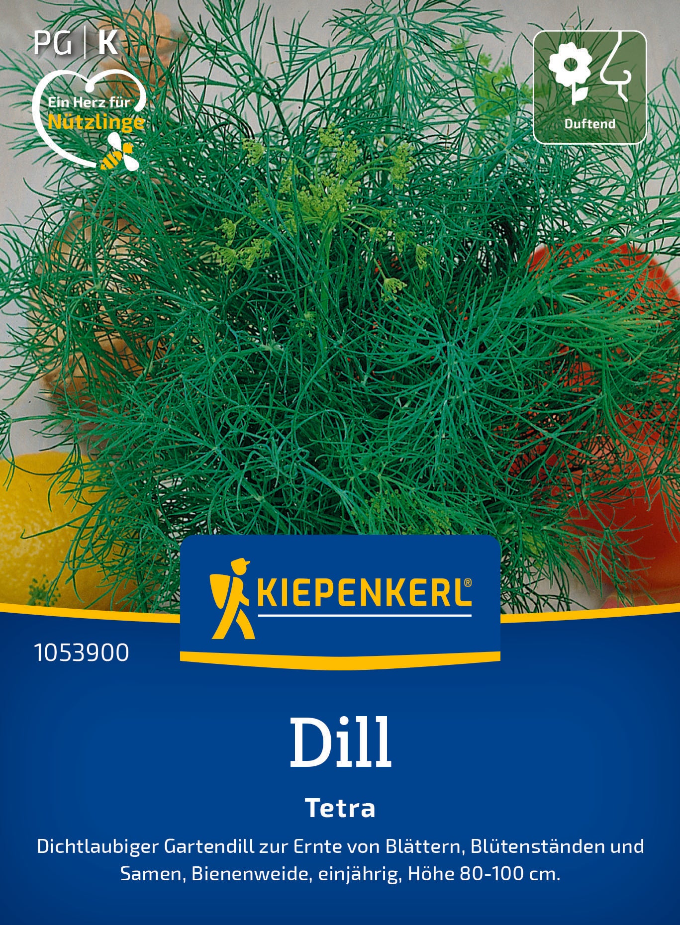 Dill Tetra