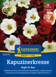 Kapuzinerkresse Night & Day