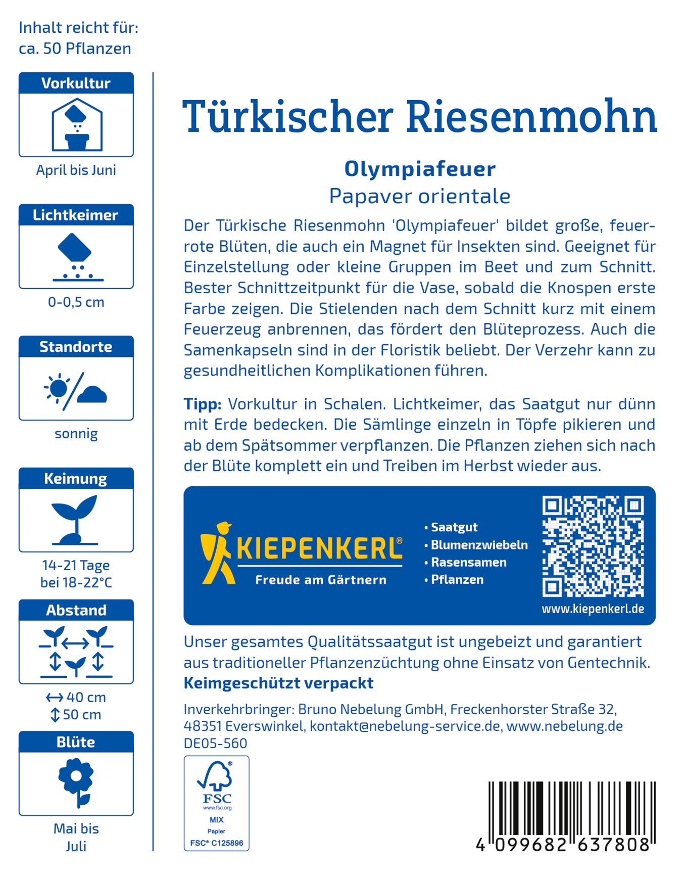 Türkischer Riesemohn Olympiafeuer