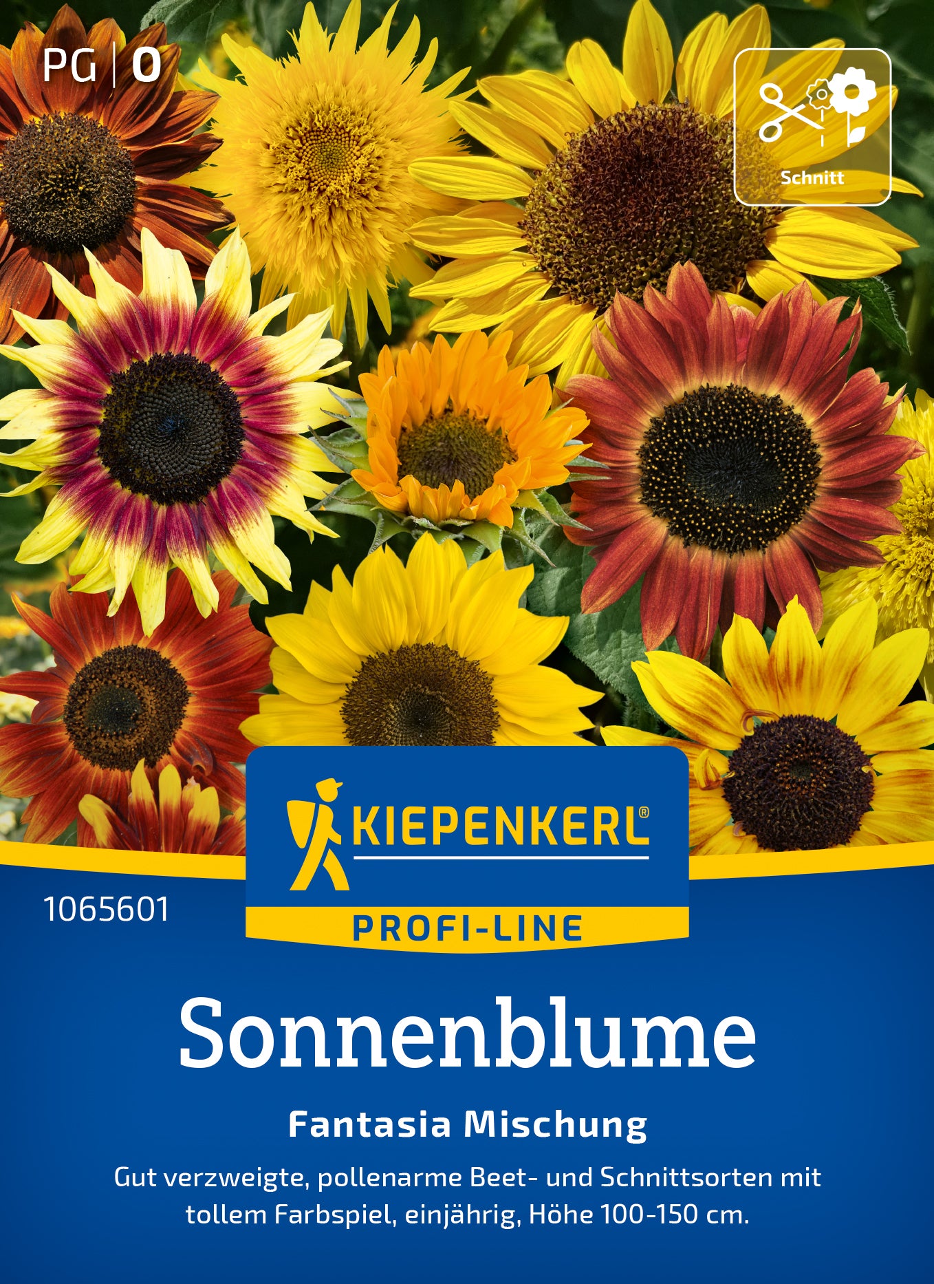 Sonnenblumensamen Fantasia Mischung, F1