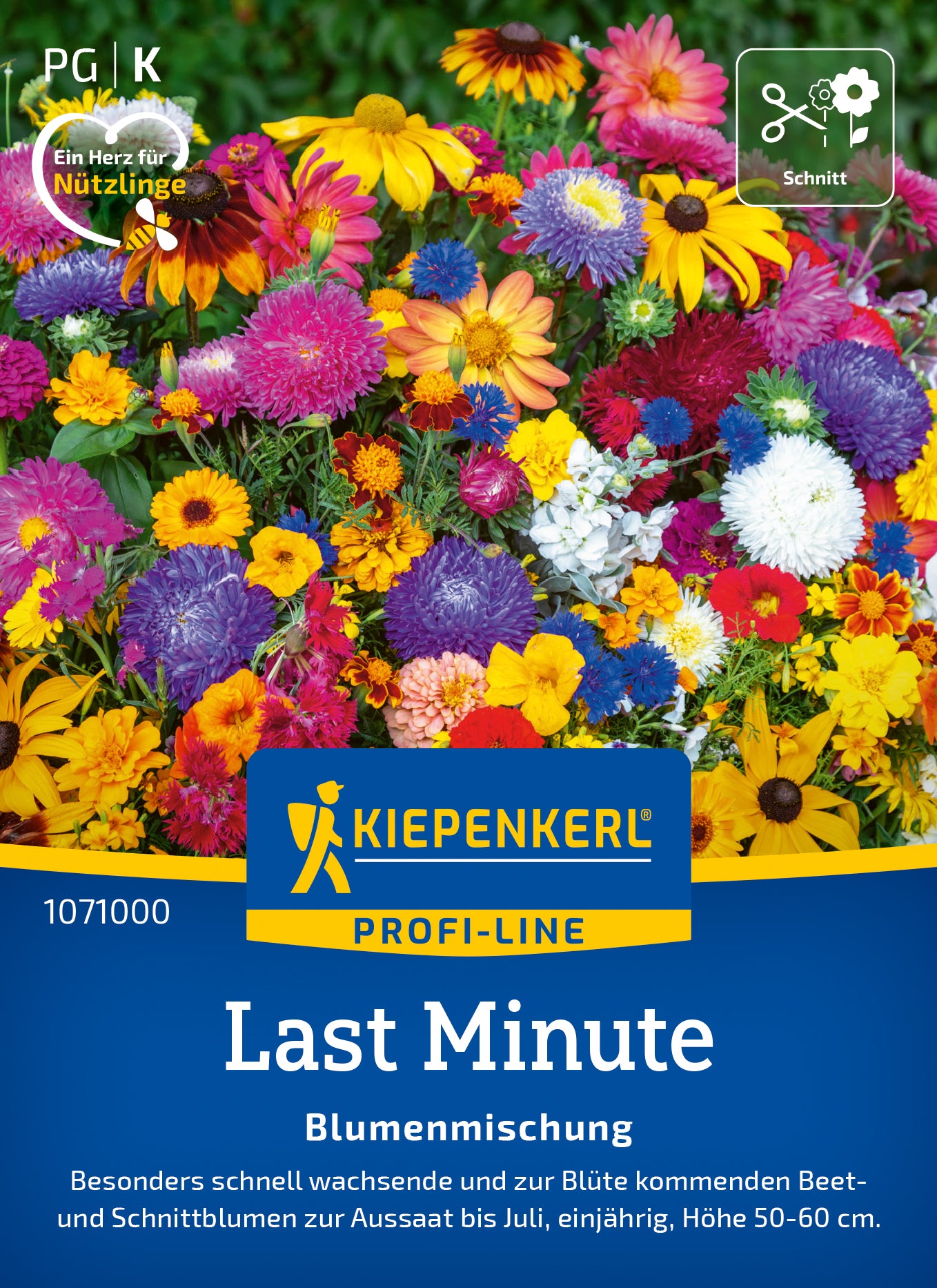 Blumenmischung Last Minute