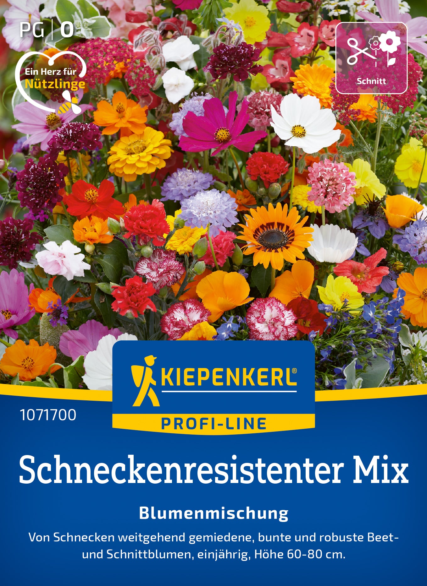 Blumenmischung  Schneckenresistenter Mix
