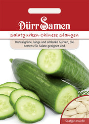Salatgurken Chinese Slangen