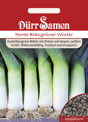 Lauch Blaugrüner Winter