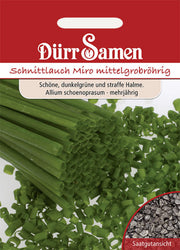 Schnittlauch Mittelgrobröhrig Miro