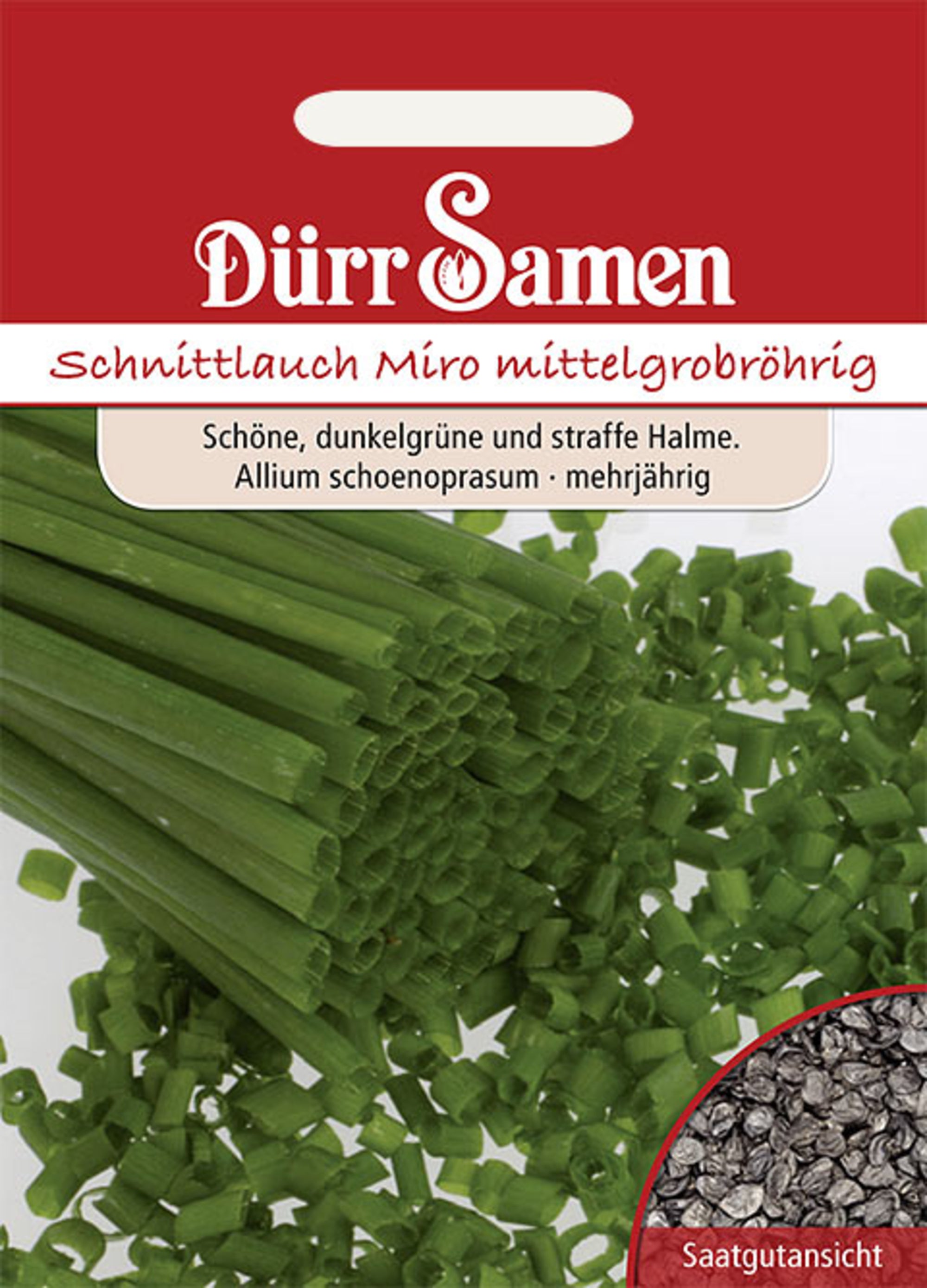 Schnittlauch Mittelgrobröhrig Miro