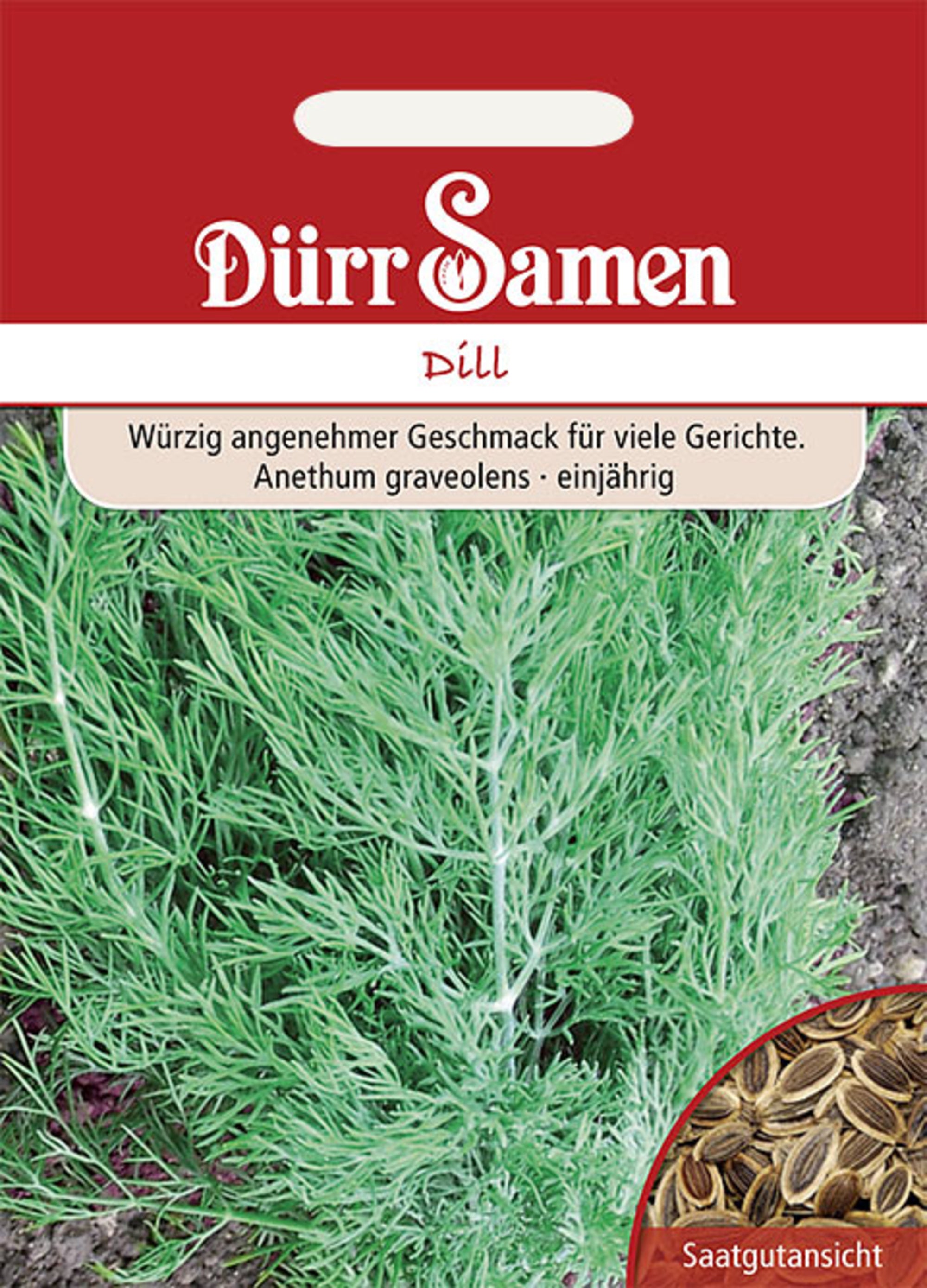 Dill blattreicher