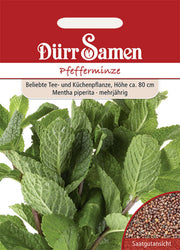 Pfefferminze