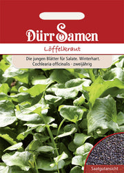 Löffelkraut