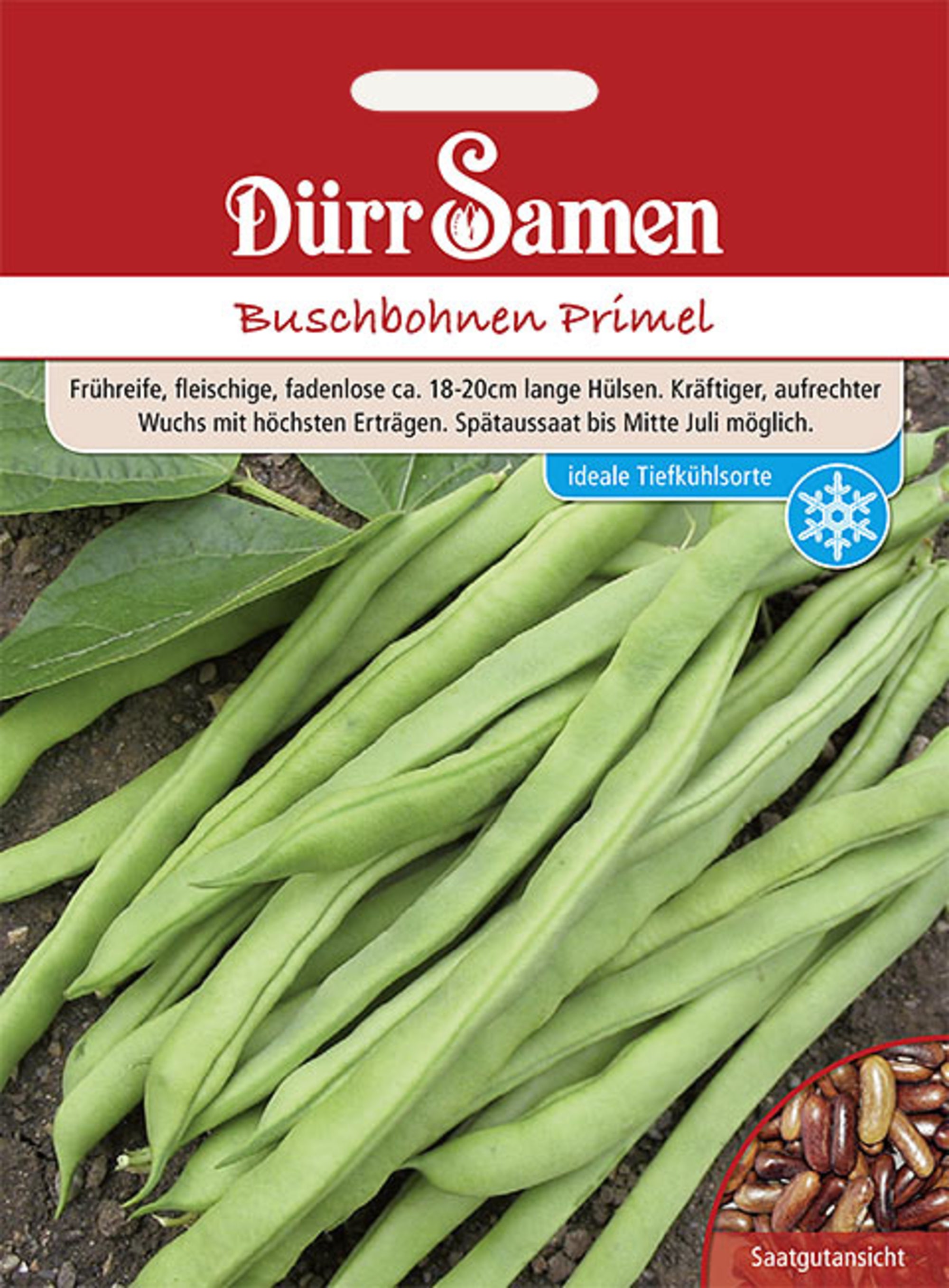 Buschbohnen Primel