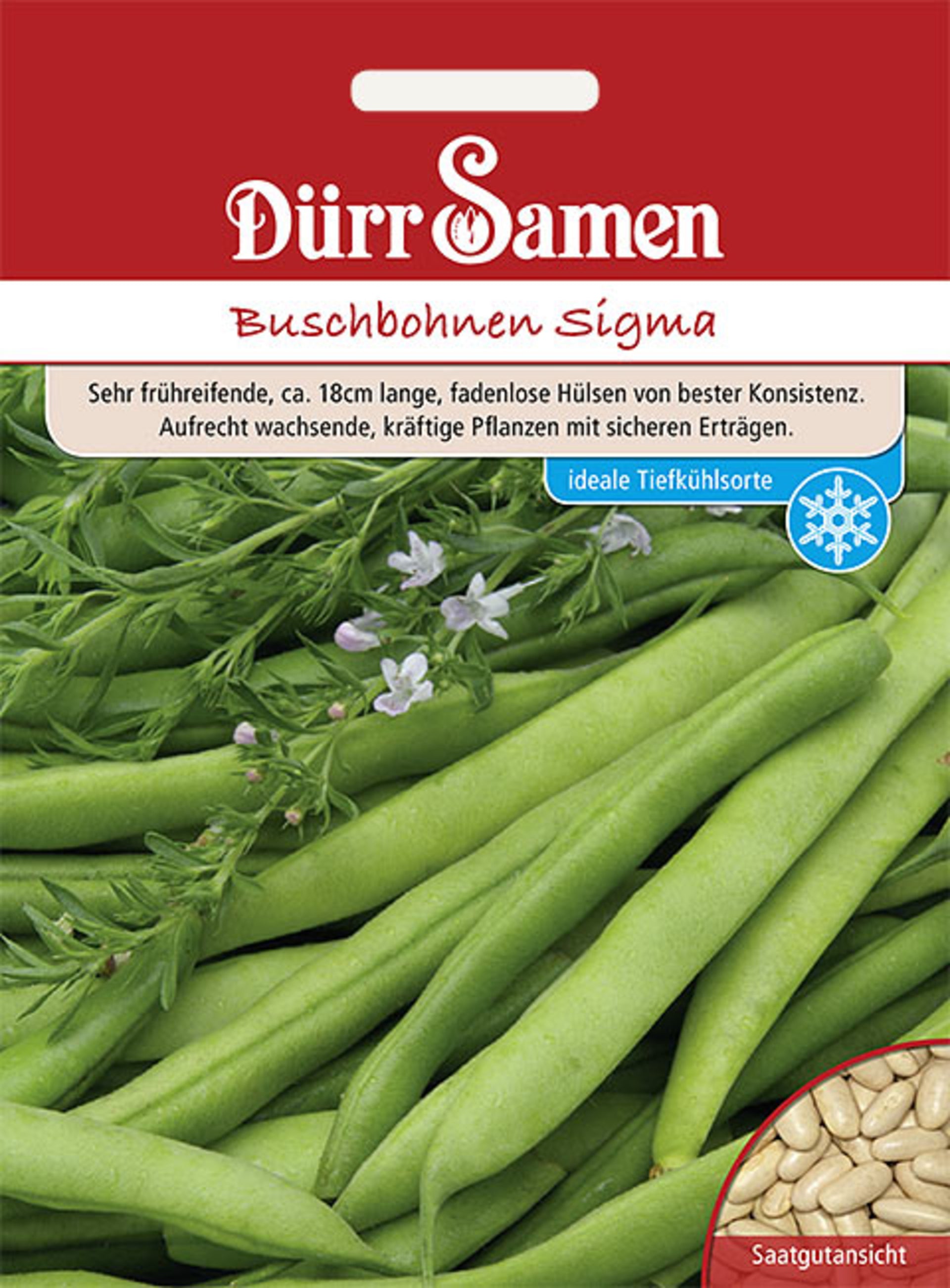 Gemüsesamen Buschbohnen Sigma von Dürr Samen