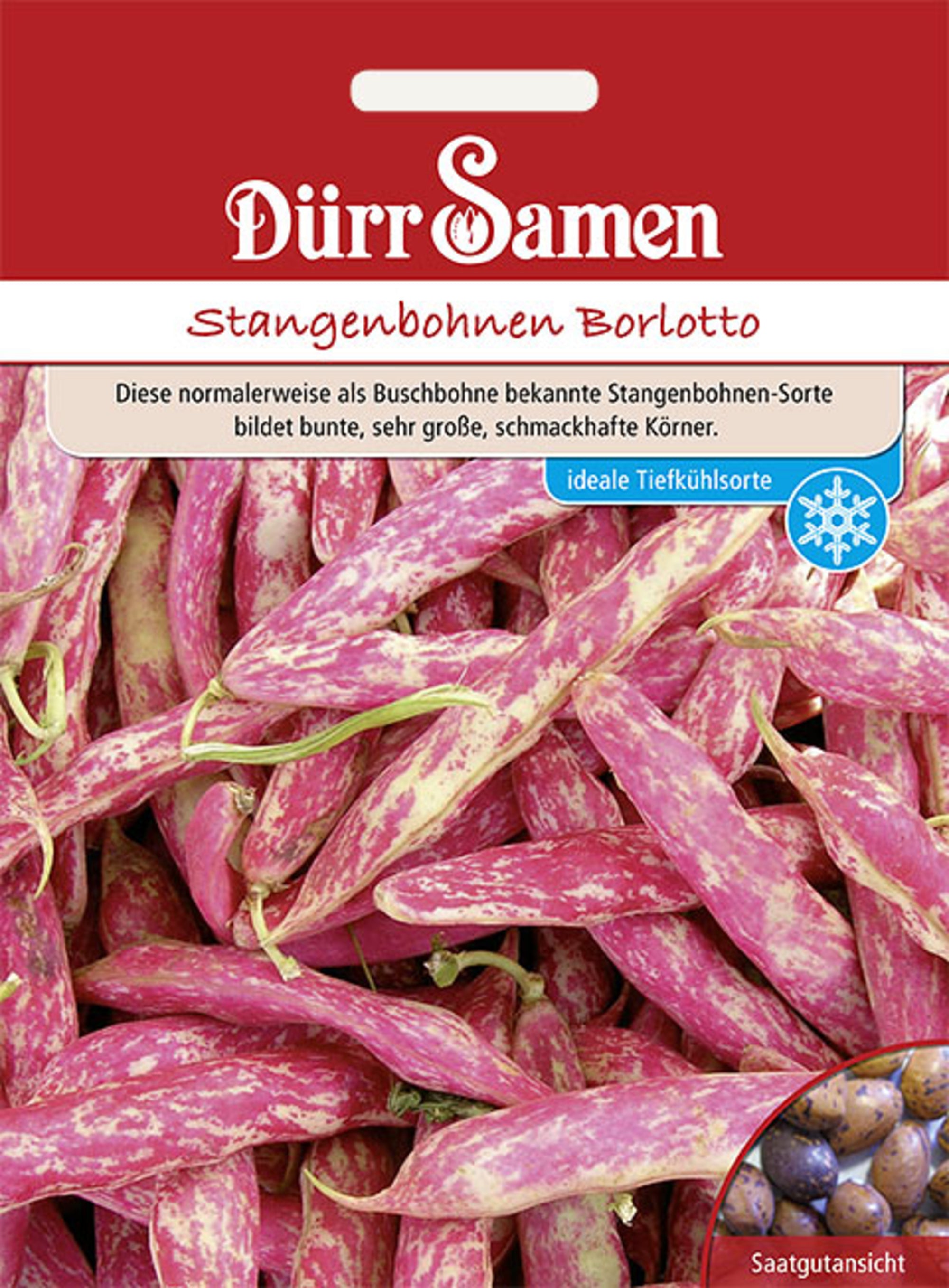 Stangenbohnen Borlotto-Typ