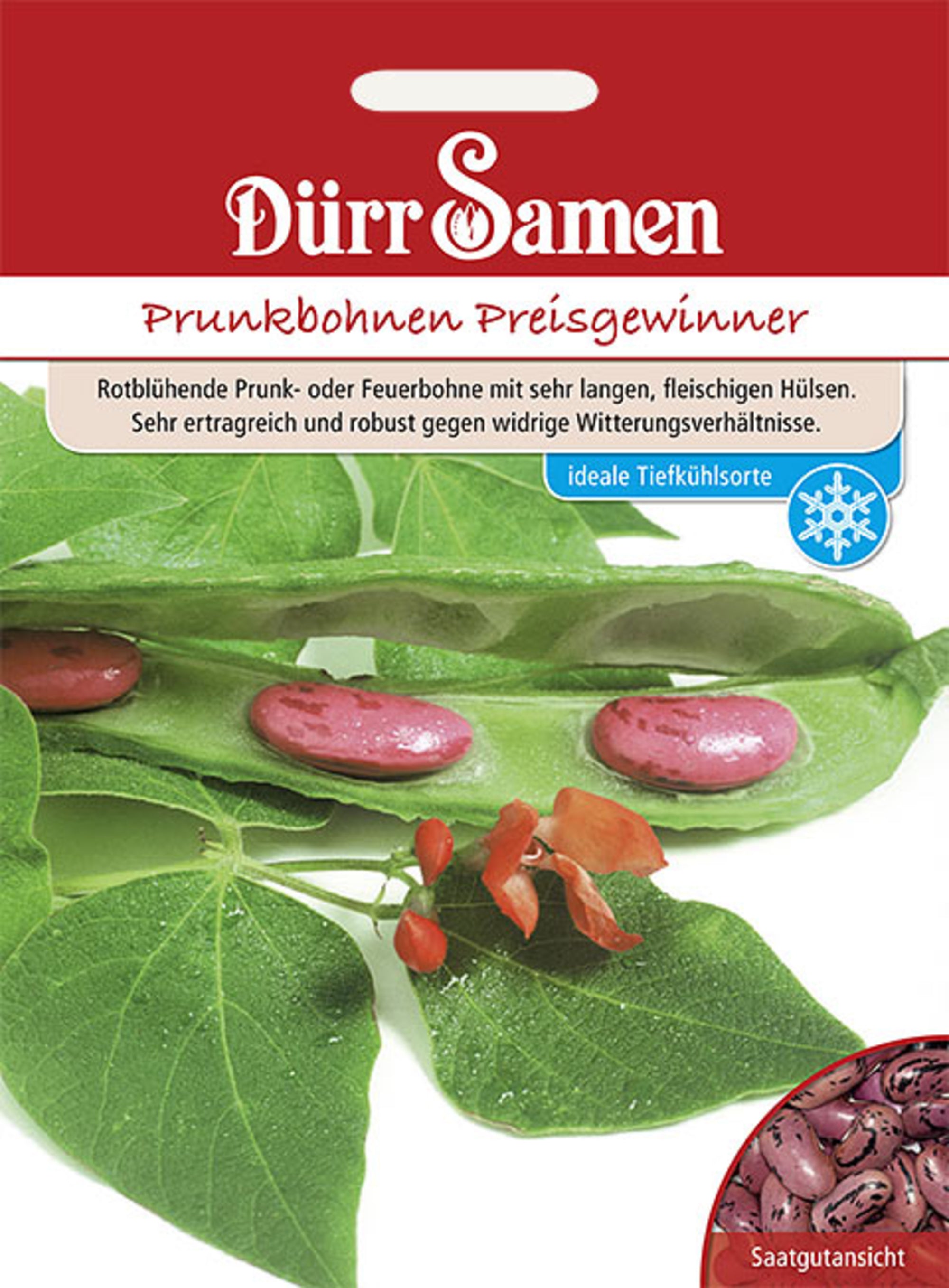 Prunkbohnen Preisgewinner