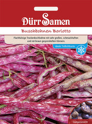 Buschbohnen Borlotto (Beckenbullen)