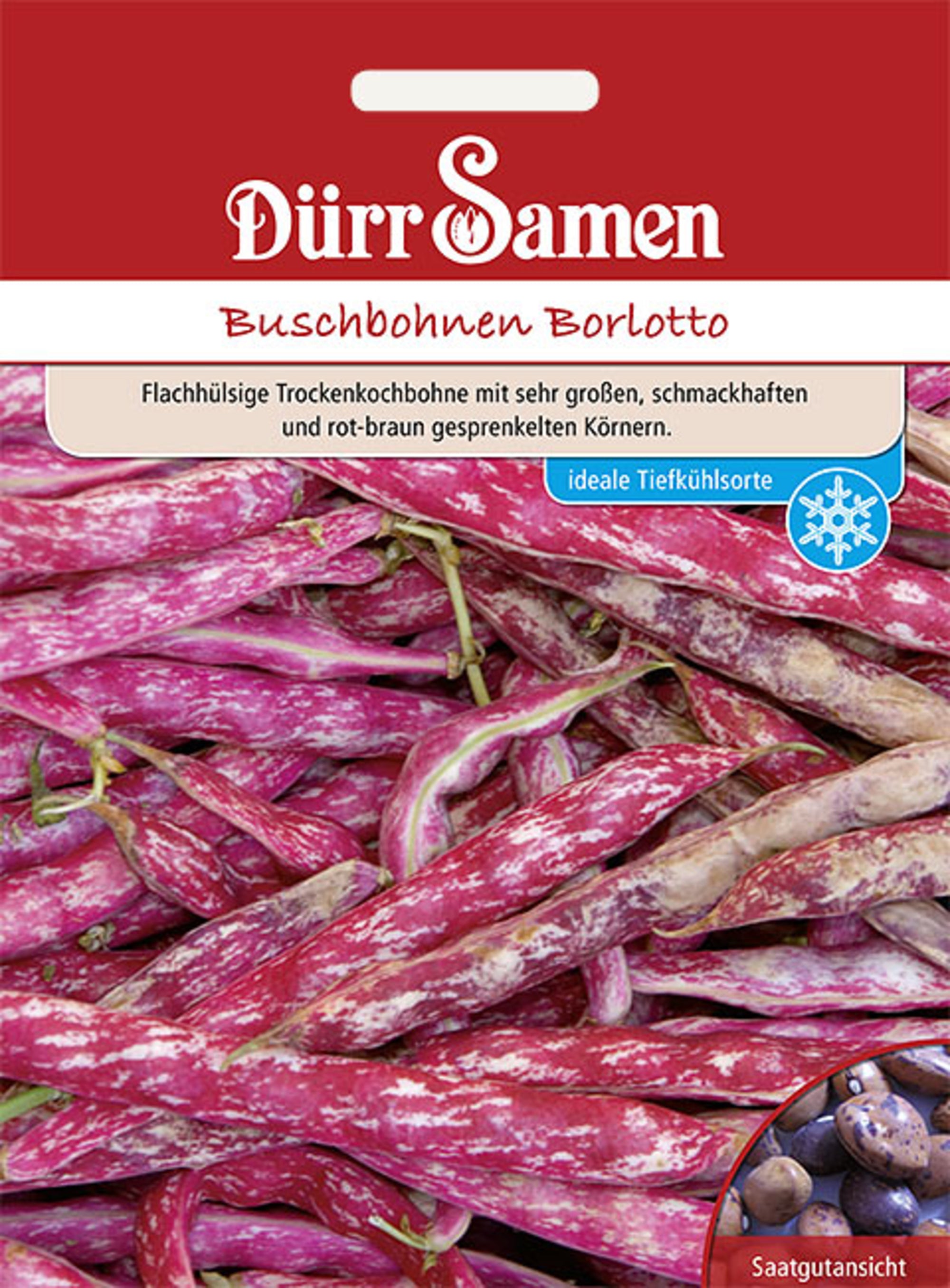 Buschbohnen Borlotto (Beckenbullen)