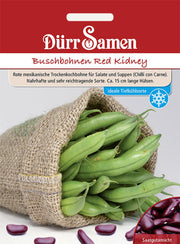 Buschbohnen Red Kidney