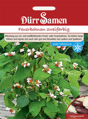Feuerbohnen Zweifarbig