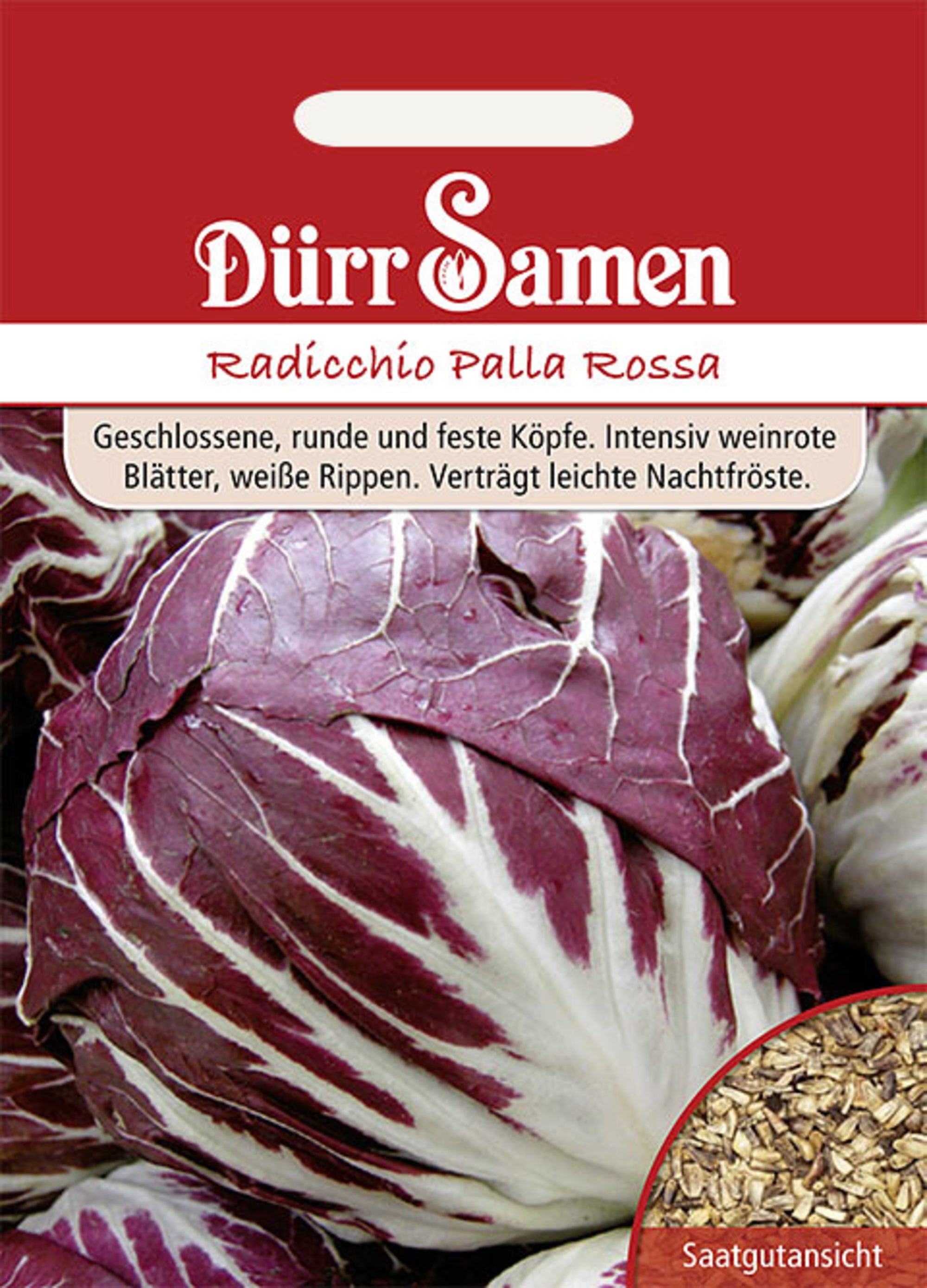 Radicchio Palla Rossa