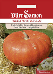 Kürbis Roter Zentner