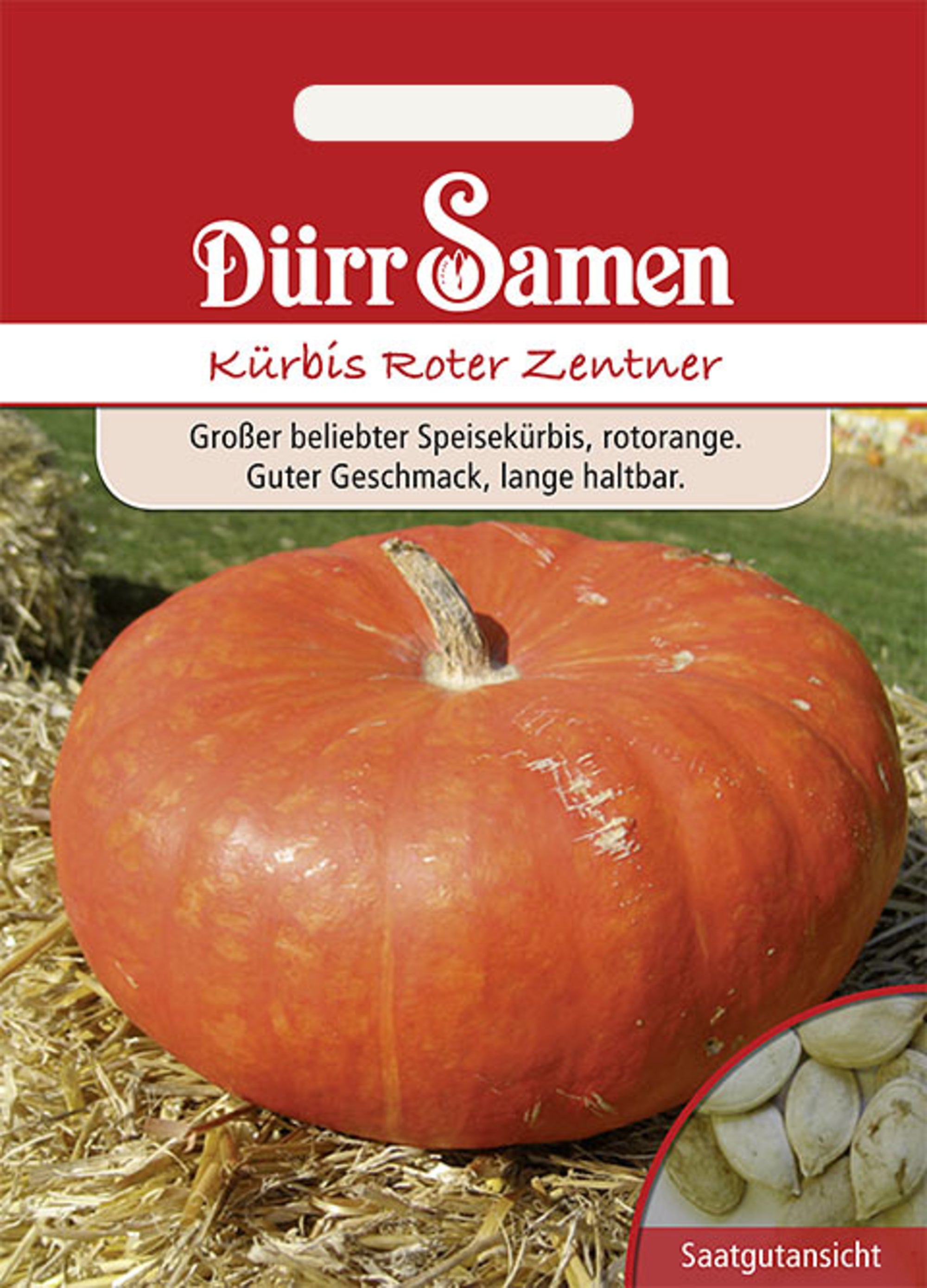 Kürbis Roter Zentner