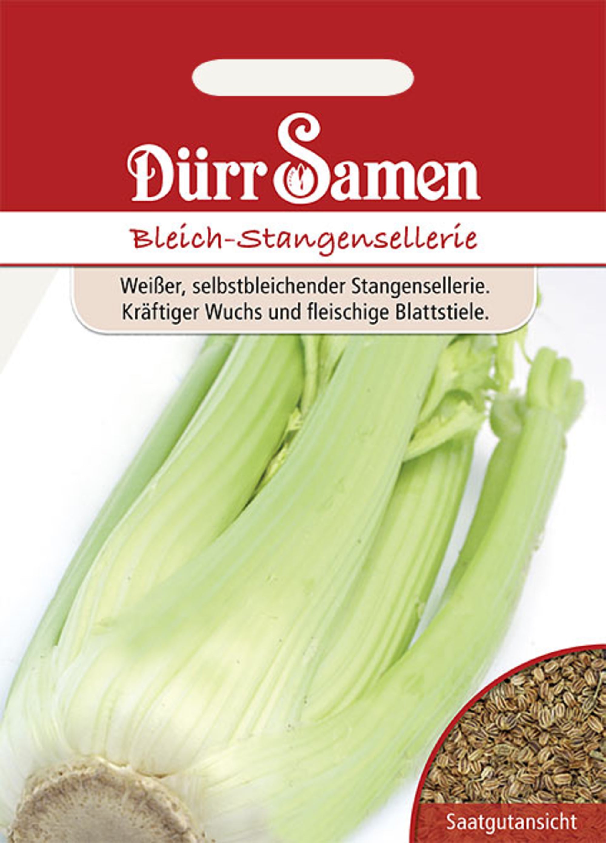 Bleich-Stangensellerie