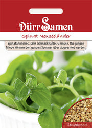 Spinat Neuseeländer (Tetragonia tetragoinoides)