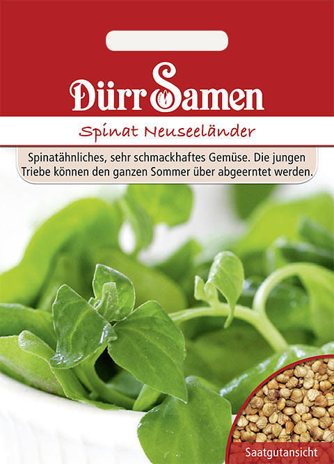 Spinat Neuseeländer (Tetragonia tetragoinoides)