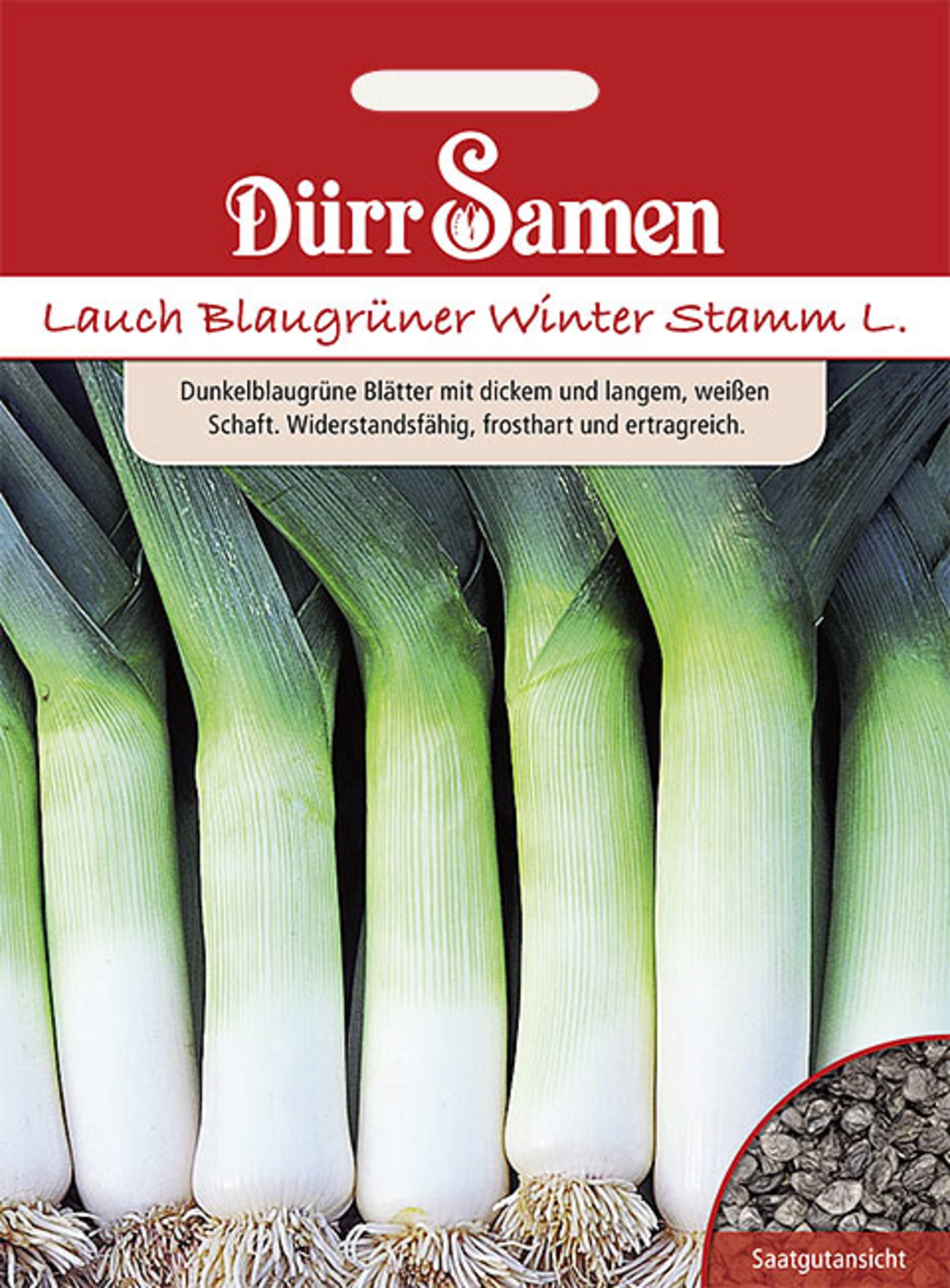 Lauch Blaugrüner Winter Stamm L.