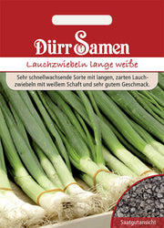 Lauchzwiebeln Lange Weiße Kaigaroo