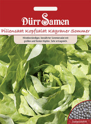 Pillen-Kopfsalat Kagraner Sommer