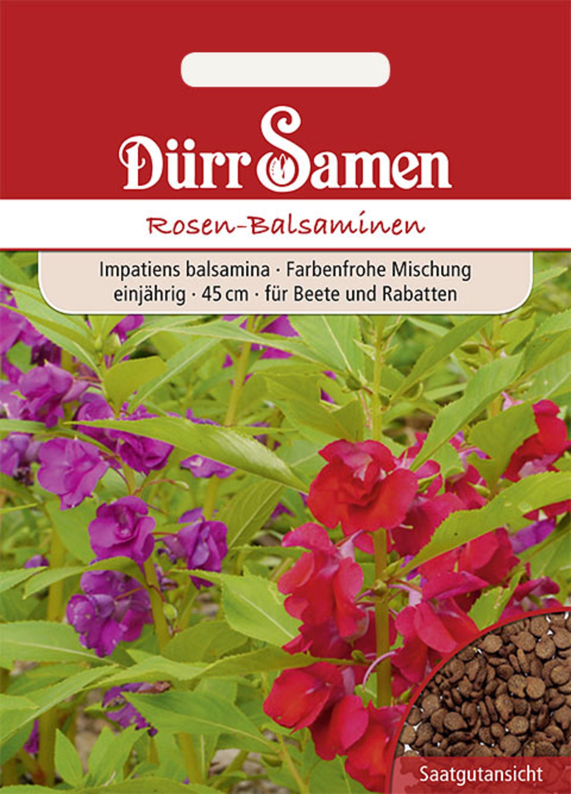 Rosen Balsaminen Mischung einjährig 45 cm