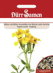 Würz-Tagetes