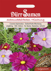 Cosmea Prachtmischung einjährig 100-120 cm