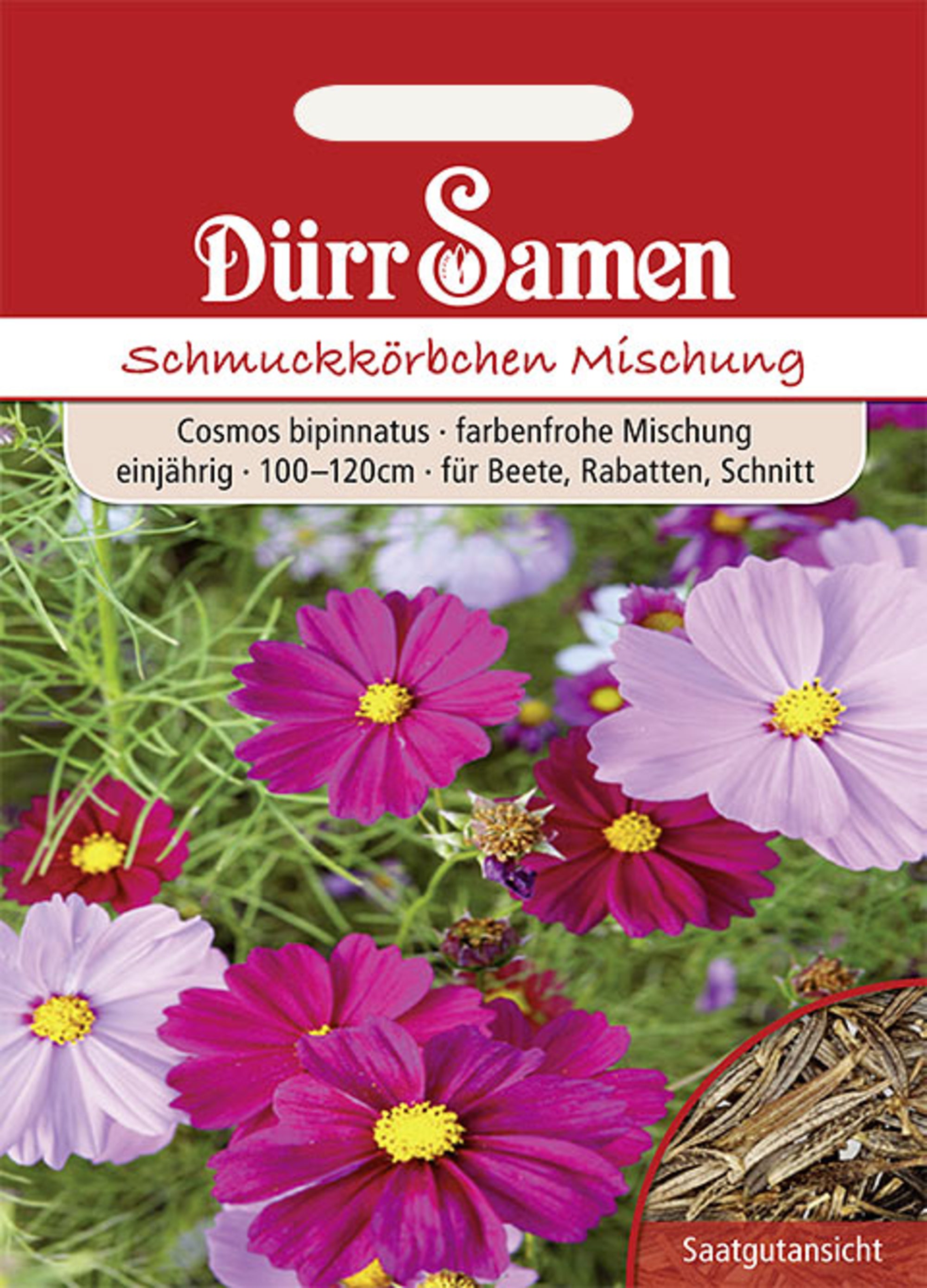 Cosmea Prachtmischung einjährig 100-120 cm