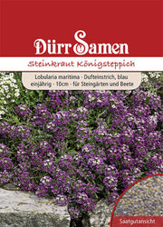 Steinkraut Königsteppich weiß einjährig 10 cm