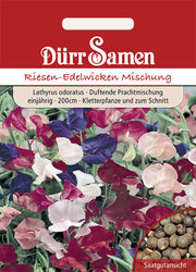 Edelwicken Prachtmischung einjährig 200 cm