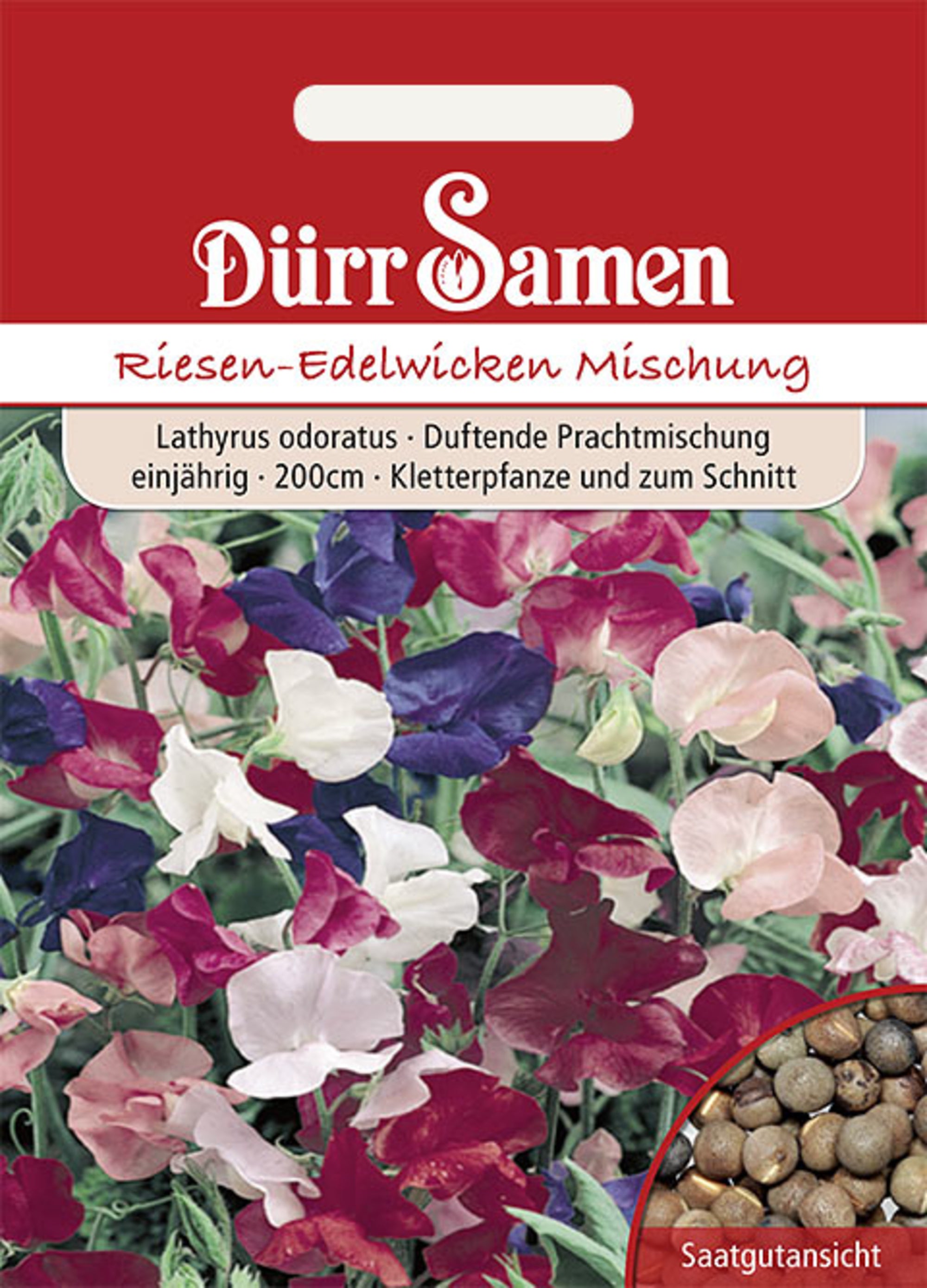 Edelwicken Prachtmischung einjährig 200 cm