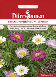 Bunte Margeriten Bunte Mischungmehrjährig 80 cm