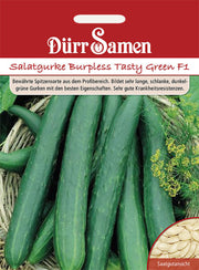 Salatgurken Burpless Tasty Green F1