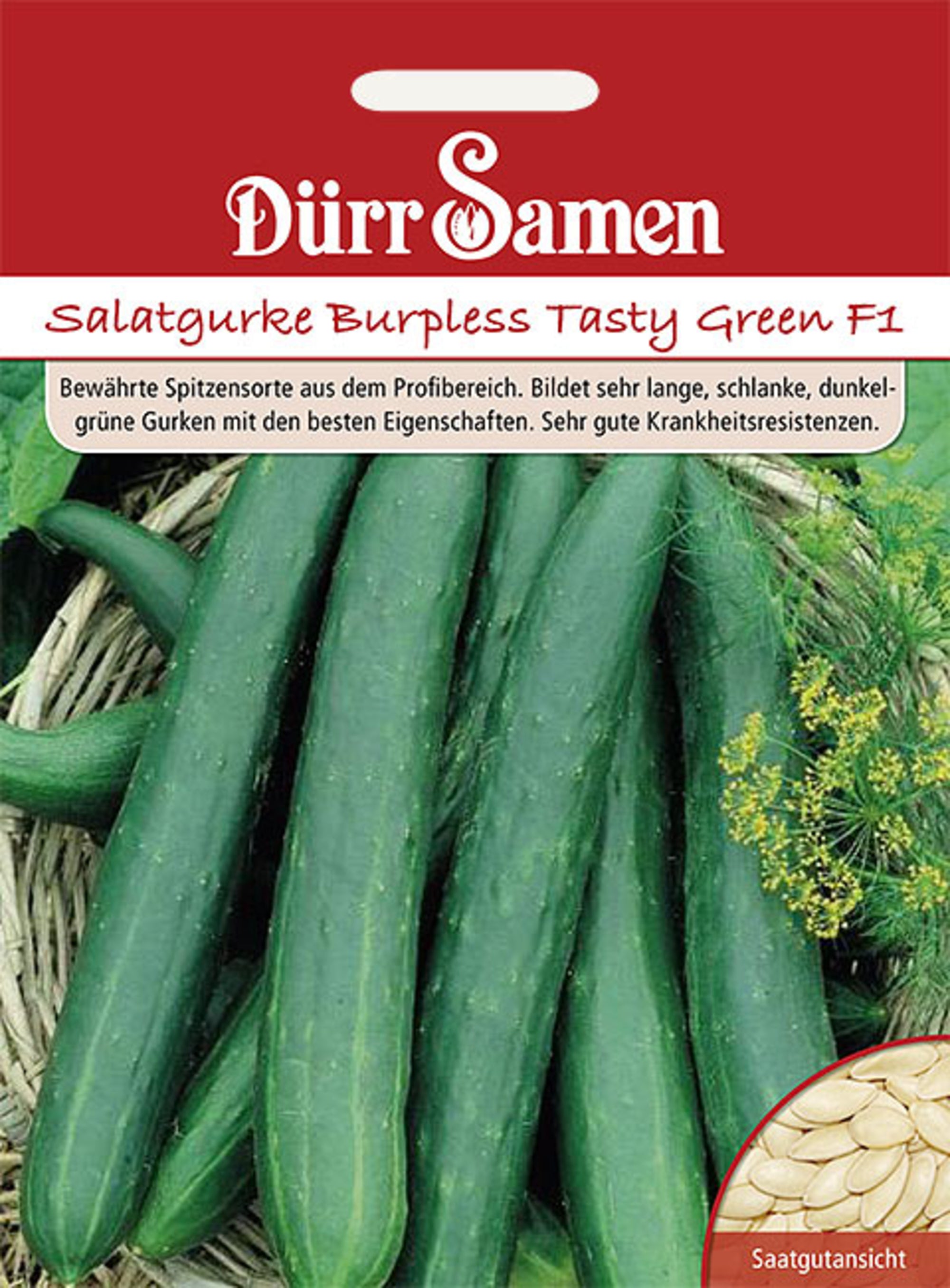 Salatgurken Burpless Tasty Green F1