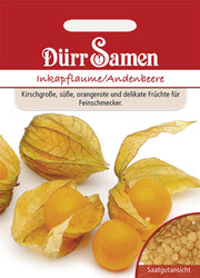 Inkapflaume (Andenbeere)