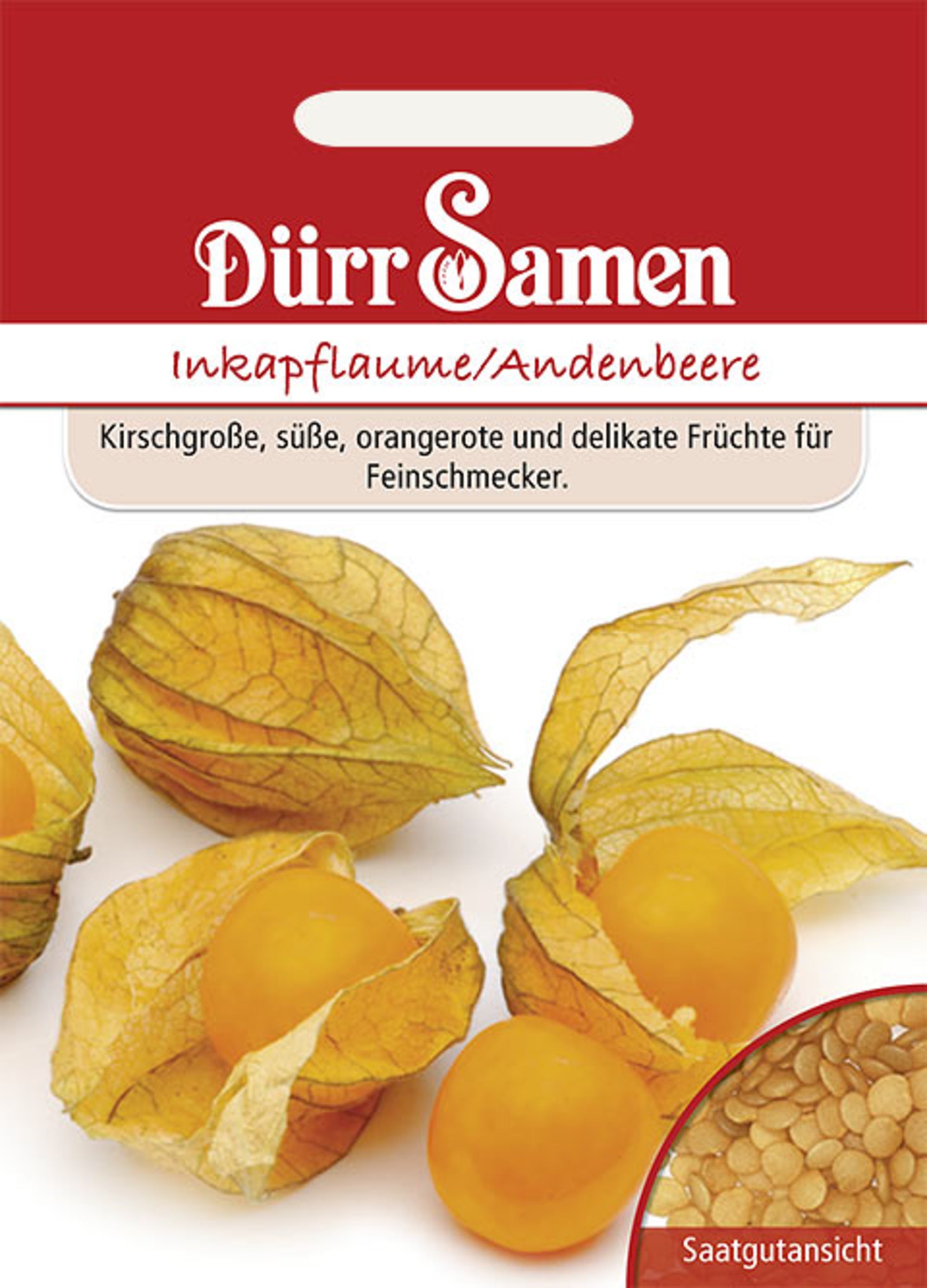 Inkapflaume (Andenbeere)